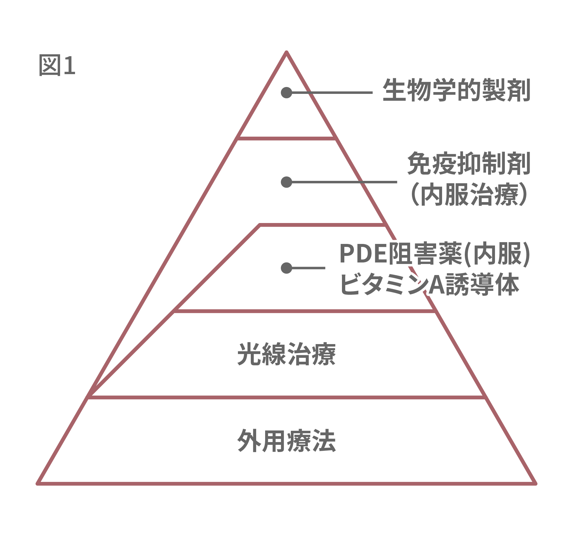 乾癬（乾癬性関節炎） | 医療法人社団フクロウ会 さっぽろ白石皮膚科